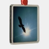 Silhouette des Fliegens des kahlen Adlers im Silbernes Ornament (Rechts)