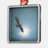 Silhouette des Fliegens des kahlen Adlers im Silbernes Ornament (Links)