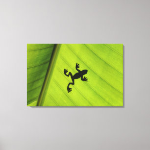 Silhouette des Frosches durch Bananenblatt Leinwanddruck
