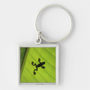Silhouette des Frosches durch Bananenblatt Schlüsselanhänger