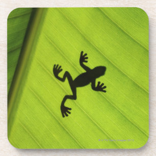 Silhouette des Frosches durch Bananenblatt Untersetzer