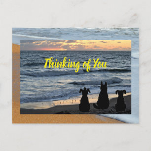 Silhouette des Hundes beim Meeressurfen Postkarte