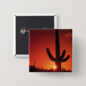 Silhouette des Kaktus an der Dämmerung, Button (Vorne & Hinten)