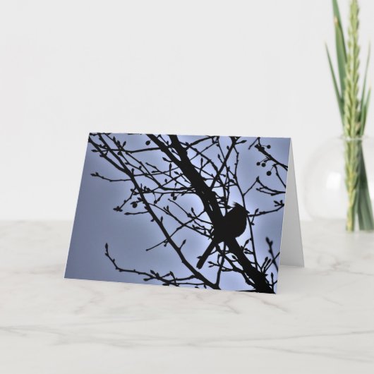 Silhouette des Kardinals, Karte (Vorderseite)