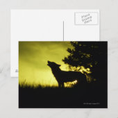 Silhouette des Wolfhechens Postkarte (Vorne/Hinten)