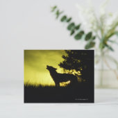 Silhouette des Wolfhechens Postkarte (Stehend Vorderseite)