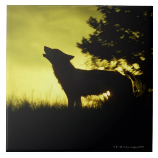 Silhouette des Wolfs heulend Fliese (Vorderseite)