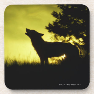 Silhouette des Wolfs heulend Getränkeuntersetzer