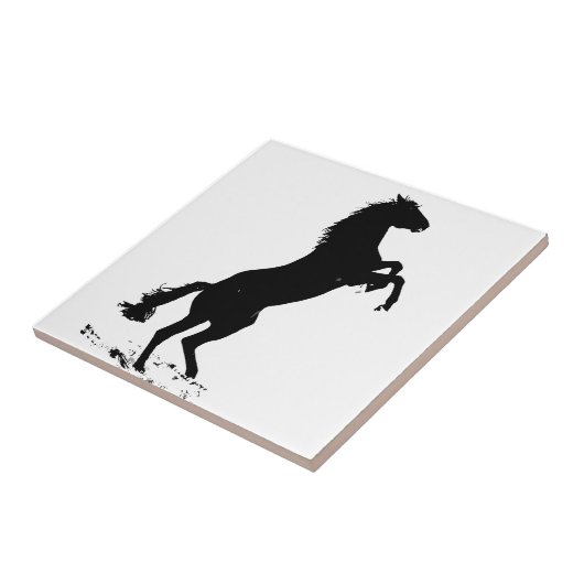 Silhouette des Zuchtpferdes Fliese (Seite)