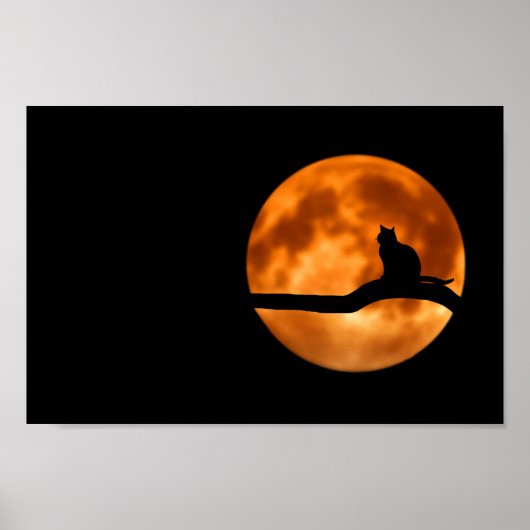 Silhouette einer schwarzen Katze in einem Baum Poster (Vorne)