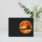 Silhouette einer schwarzen Katze in einem Baum Postkarte (Stehend Vorderseite)