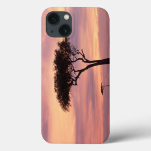 Silhouette eines Akazienbaums bei Sonnenaufgang Case-Mate iPhone Hülle