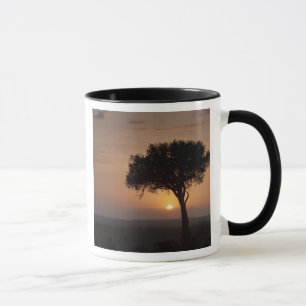 Silhouette eines Baumes in der Ebene, Masai Mara 2 Tasse