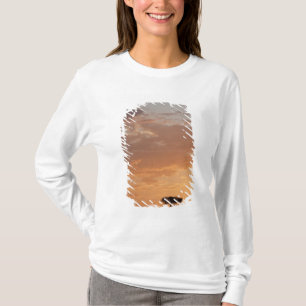 Silhouette eines Baumes in der Ebene, Masai Mara T-Shirt