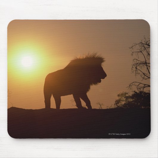 Silhouette eines Löwen Mousepad (Vorne)