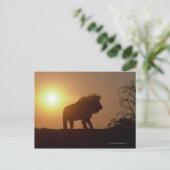 Silhouette eines Löwen Postkarte (Stehend Vorderseite)