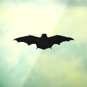 Silhouette eines Schlauchbootes Fensteraufkleber (Blatt 3)