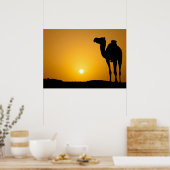 Silhouette eines wilden Kamels bei Sonnenuntergang Poster (Küche)