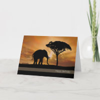 Silhouette Elefant mit Sonnenuntergang Geburtstags