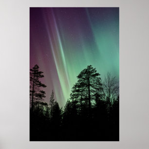 SILHOUETTE FOTO VON AURORA BOREALIS POSTER