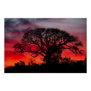 Silhouette gegen den Roten Himmel Poster