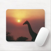 Silhouette Giraffe (Giraffa Camelopardalis) Mousepad (Mit Mouse)