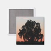 Silhouette Oak Tree Magnet (Vorderseite/Rückseite)