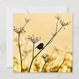 Silhouette of chickadee perched against gold light mitteilungskarte