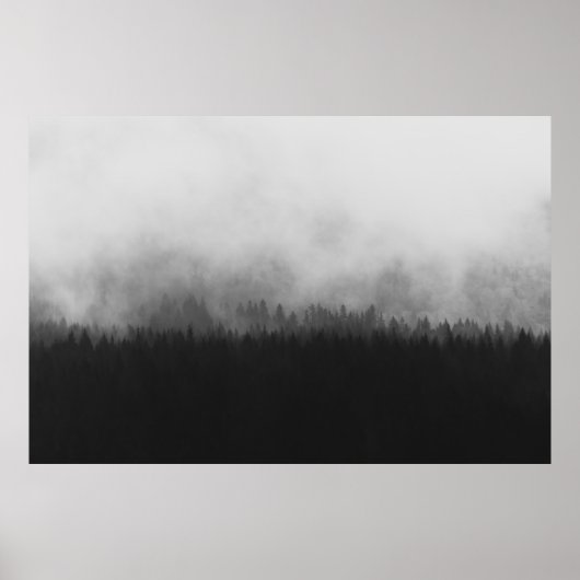SILHOUETTE OF TREES WITH FOGS POSTER (Vorne)
