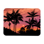 Silhouette Palmen, Hawaii Magnet (Horizontal)
