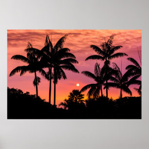 Silhouette Palmen, Hawaii Poster