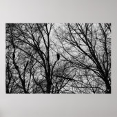 Silhouette Poster (Vorne)