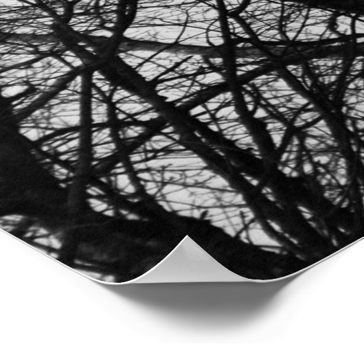 Silhouette Poster (Ecke)