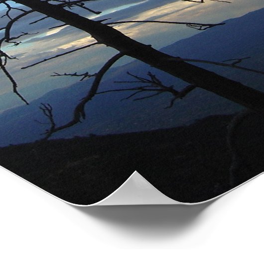 Silhouette Poster (Ecke)