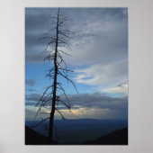 Silhouette Poster (Vorne)