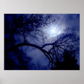 Silhouette-Poster für Wall-Size-Bäume Poster (Vorne)