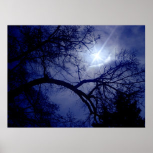 Silhouette-Poster für Wall-Size-Bäume Poster