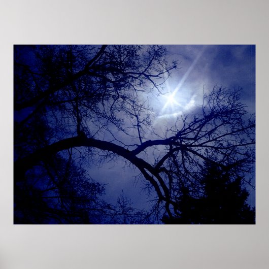 Silhouette-Poster für Wall-Size-Bäume Poster (Vorne)