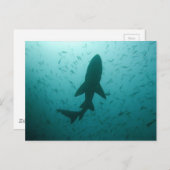 Silhouette Postkarte (Vorne/Hinten)