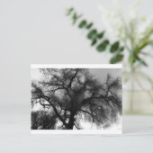 Silhouette Postkarte (Stehend Vorderseite)