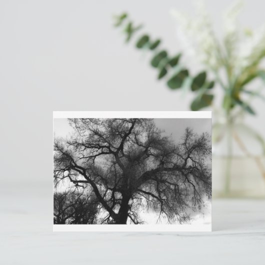 Silhouette Postkarte (Stehend Vorderseite)