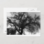 Silhouette Postkarte (Vorne/Hinten)