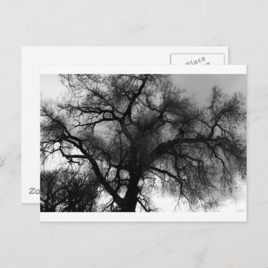 Silhouette Postkarte (Vorne/Hinten)