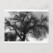 Silhouette Postkarte (Vorderseite)