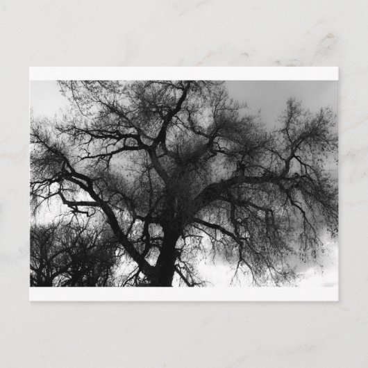 Silhouette Postkarte (Vorderseite)