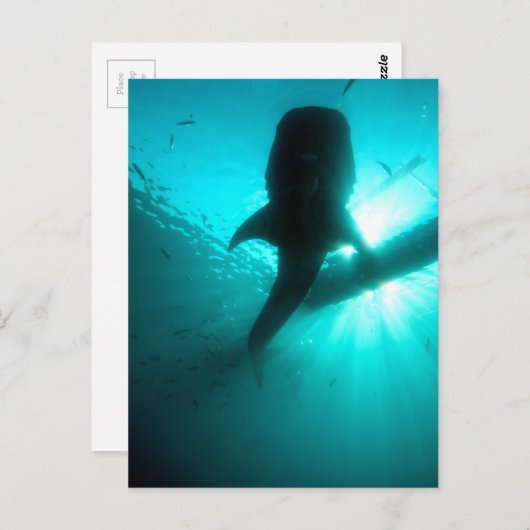 Silhouette Postkarte (Vorne/Hinten)