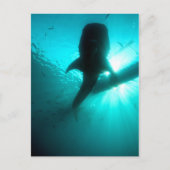 Silhouette Postkarte (Vorderseite)