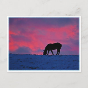 Silhouette Postkarte