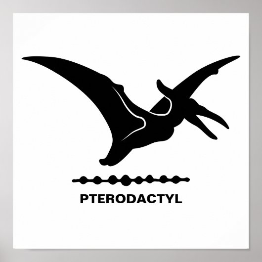Silhouette Pterodactyl Dinosaur Poster (Vorne)