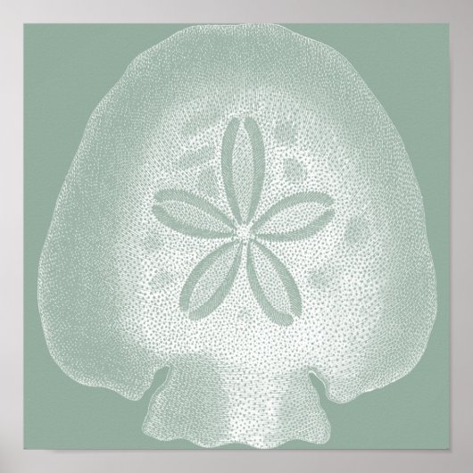 Silhouette Sand Dollar Poster (Vorne)